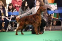 Crufts2011 194